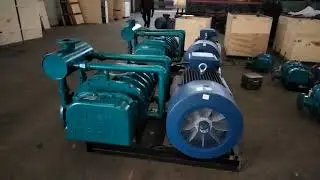 Roots Vacuum Pump+Roots Blower