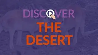 Discover the Desert - Introduction