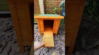 Stray Cat Decides To Move Into Guy&rsquo;s House | The Dodo