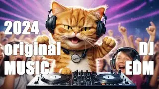 Electric Groove: Essential EDM for Party Vibes|NO:20241118