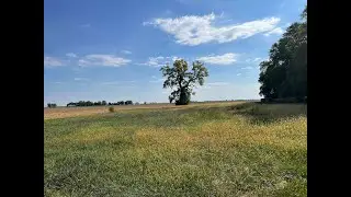 Bury Me Not on the Lone Prairie Played on the Banjo