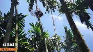 Arecanut robotic sprayer