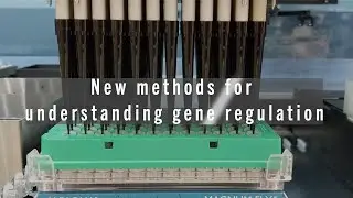 New Methods for Understanding Gene Regulation