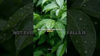 Let the Rain Remind You ☔️🌿 #calmnarration #slowliving #mentalwellness #wellnesstips #trending