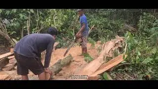 Skilled Farmers Measuring & Cutting Wood, Traditional Carpentry & Rural Life in Beautiful Landscape