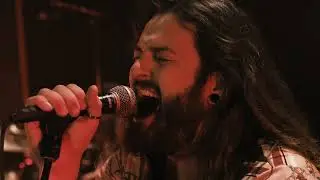 Interference - Moonlight Seekers - Live Session 2024