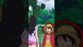 Nico Robin knows how Luffy's brain works 😭🙏