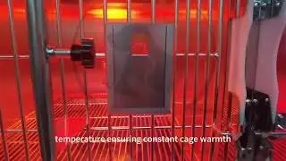 VETMED Operation Video of ICU Infrared Therapy  Dog Cage VM LL 03  mp4 crdownload mp4 crdownload