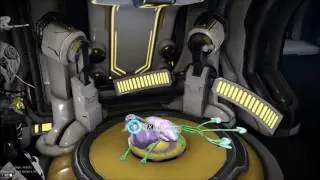 Playing with my Kavats