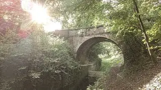 A Calming Morning Walk along a Disused Canal