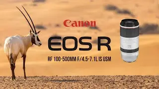 Canon EOS RF100-500 f/4.5-7.1L IS USM - Visual Review with Metadata
