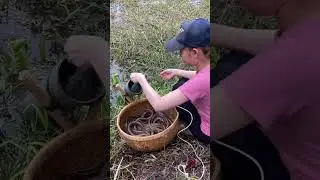 fish net making video #fishing #net #handfish #fish #fyp