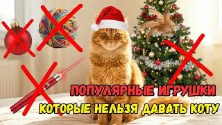 ЧЁРНЫЙ СПИСОК кошачьих игрушек