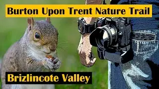 Nature Walk Brizlincote Valley Burton Upon Trent