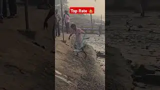😱 Crazy Lechindhi Godavari Festival Top rate 🤯 #reels #viral #video #shorts #shortsfeed #fishing ...