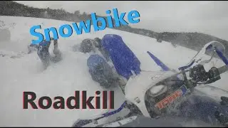 Snowbike roadkill adventure