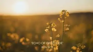 ‘Echo of Gratitude' - Rosi Botí