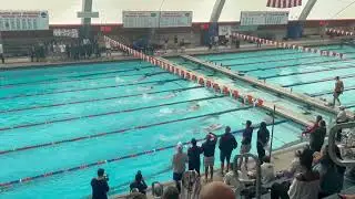 LSU vs. UF - Women's 200 Free