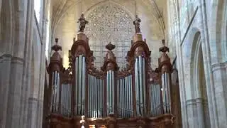 Grand Orgue Jean Esprit ISNARD de la Basilique de Saint Maximin la Ste Baume.
