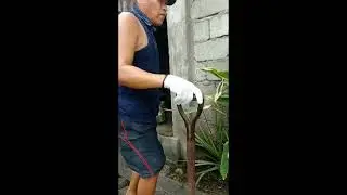 Hagbas Habang Ga Tabi 😁 #viralvideo #viral #fypシ #cute #cute #cover #viralshort #music