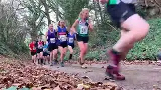 Howling Bull 2018 First Hill
