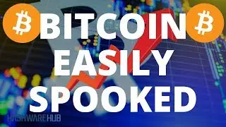 Bitcoin - Easily Spooked - Technical Analysis - Price Projections