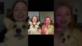 Как же он вырос