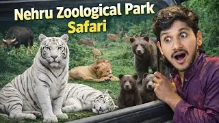 Nehru Zoological Park | Safari | White Tiger🐅| Lion🦁| Bison🦬
