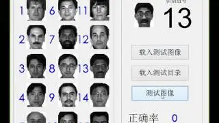 Demonstration of face recognition algorithm via sparse coding