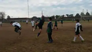 Marotta Cra