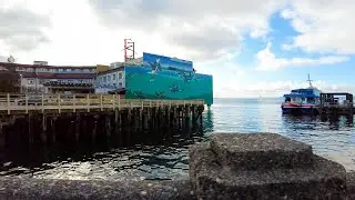 Where To Stay Near Seattle Waterfront | Edgewater Inn Lobby Tour | Walking Seattle