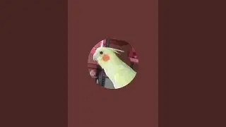 My birds Aviary is live!