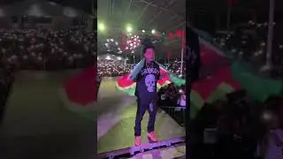 YoungBoss Live Concert