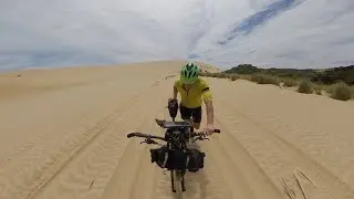 TA 2020 and the Dotterels of Ninety Mile Beach