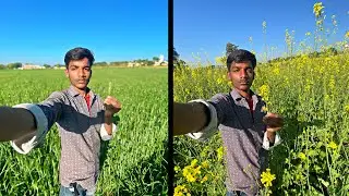 Aaj Khet Aa Gaya Gehu 🌾 Or fool 🌻  ko Dekhne 🥰