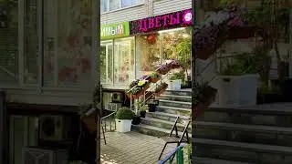 Аренда помещения свободного назначения, 57.4 м&sup2; #shorts