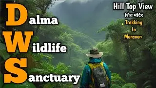 Dalma shiv Mandir 🚩| सावन में दलमा पैदल यात्रा |Dalma Wildlife Sanctuary | Dalma Hill Top View..