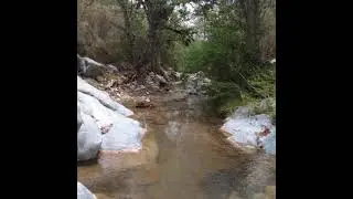 El.corrido de *San Juan **  San Juan Achiutla Tlaxiaco Oaxaca 12/2025 autor Apolinar Lopez Martínez 
