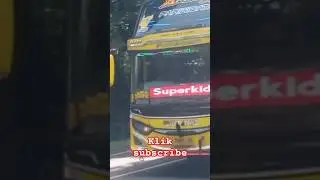Aprilia style bus Putra Utama #busartis #basuri #busmania
