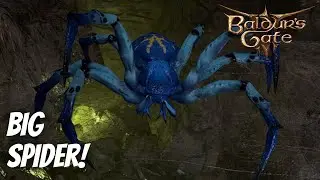 Nuking the Phase Spider Matriach on HONOUR Mode! Baldur's Gate 3