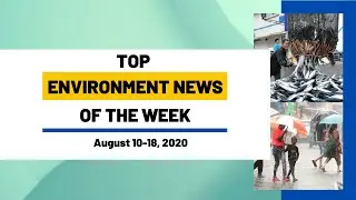Top Environment News This Week | UnEarth