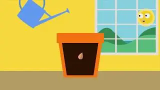 Hoe groeit een plant?
