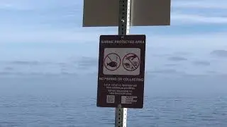 Where is it Legal to Spearfish at Pebbly Beach?