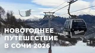 Новогоднее путешествие в Сочи 2026