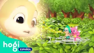 Un Amiguito Sali&oacute; a Jugar | &iexcl;Juguemos en una Telara&ntilde;a! | &iexcl;Qu&eacute; Divertido! | Hogi en espa&ntilde;ol
