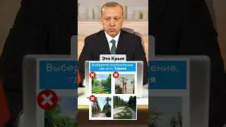 Simple Erdogan #политика #funny #politics #президент #meme #эрдоган