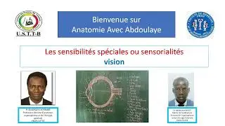 la vision