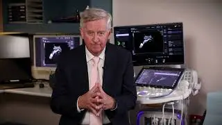 Professor John Newnham AM shares findings of groundbreaking early birth prevention program