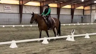 USA Working Equitation Level 4/Intermediate A Dressage Test 2024