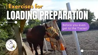 Loading Preparation Exercises WITHOUT a Trailer